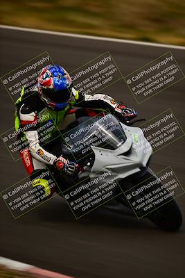 media/Feb-16-2024-CRA (Fri) [[3bc3e7055d]]/Group B/Session 5 (Turn 4)/